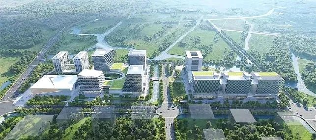 网易 · 上海国际文创科技园项